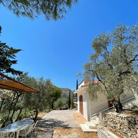 Colori Del Sud - Residence Mattinata Buitenkant foto